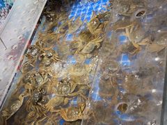 -亚马逊海鲜自助(梅溪湖步步高店)