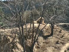 -辛玛王国游乐园