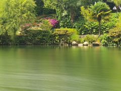 -蝴蝶泉公园
