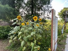 -同里国家湿地公园
