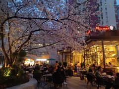 -玛格萝妮比萨屋(四平店)