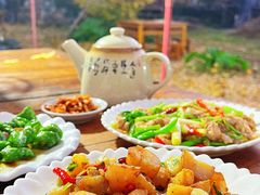 -腾冲国萍农家乐