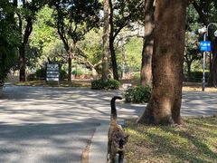 -晓港公园
