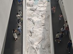 -中国湿地博物馆