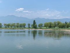 -野鸭湖国家湿地公园