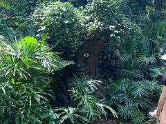 -海南热带野生动植物园