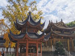 -上海东林寺(金山区)