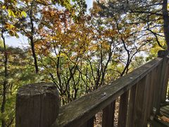 -帽儿山国家森林公园