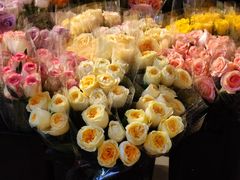 -循礼门鲜花花市(武汉循礼门店)