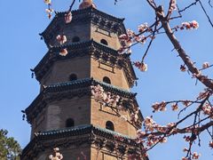 -晋祠公园