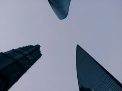 -上海柏悦酒店