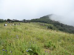 -野三坡百草畔景区