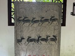 -上海醉白池公园