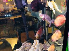 -质烤烤物·活烤海鲜(质烤总店)