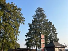 -东湖落雁景区