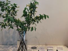 -dotcom coffee古点咖啡(致真大厦店)