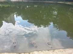 -三水森林公园