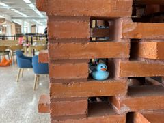 -上海交通大学闵行校区-包玉刚图书馆