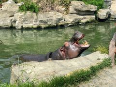 -上海野生动物园