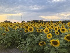 -鱼乐轩·俄罗斯海鲜直供餐厅(群力店)