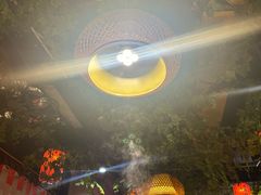 -成老灶火锅鸡(平山店)