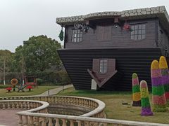 -金山农民画村-枫泾波兰倒置屋