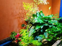 -隐炉和牛烧肉店(群力店)