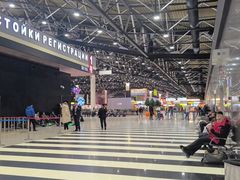 -谢列梅捷沃国际机场