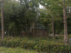 -活水公园