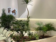 -麓椿花园西餐厅(海乐世界店)