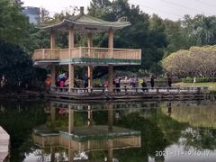 -晓港公园
