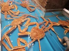 -百富源·海鲜辽菜(和平北大街店)