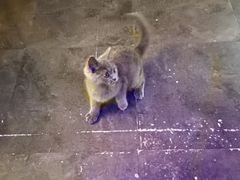 -解个谜沉浸剧情密室(天河店)