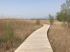 -野鸭湖国家湿地公园