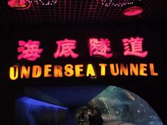 -太平洋海底世界