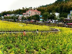 -红山村