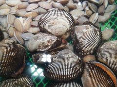 -79号渔船海鲜饭店(宝安店)