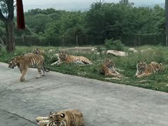 -西安秦岭野生动物园