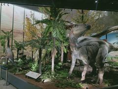 -湖南省地质博物馆