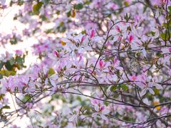 -文华公园(禅城区)