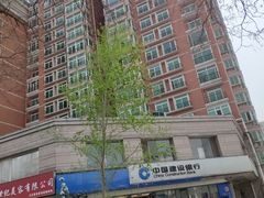 -中国建设银行(北京紫竹桥支行)