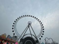 -海合安武汉极地海洋公园