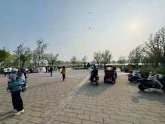 -绿堤公园
