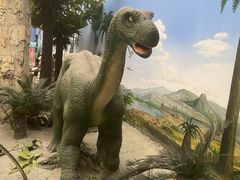 -国家自然博物馆