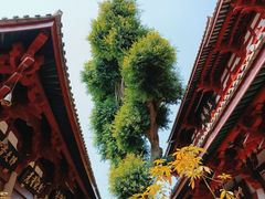 -叩齿古寺