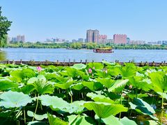 -济南大明湖景区