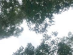-热带风暴水上乐园