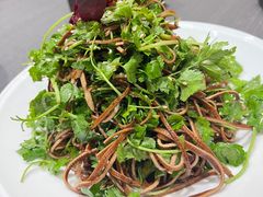 香椿苗拌豆腐丝-北平盛世·新京菜·北京烤鸭(劲松·双井店)
