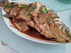 -哈素海