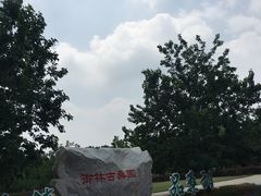 -御林古桑园